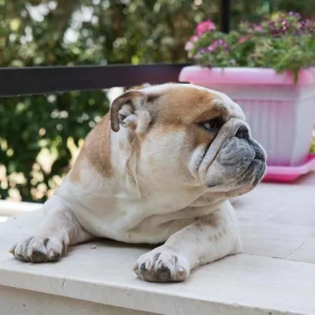 Appartement Vessarios *